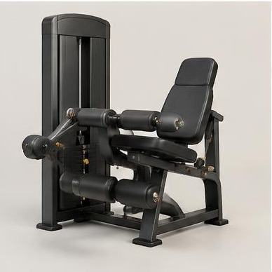 S280 Leg Extension & Curl